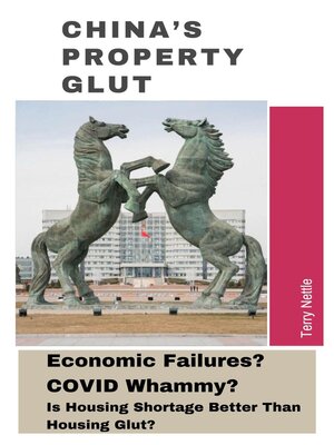 cover image of China's Property Glut